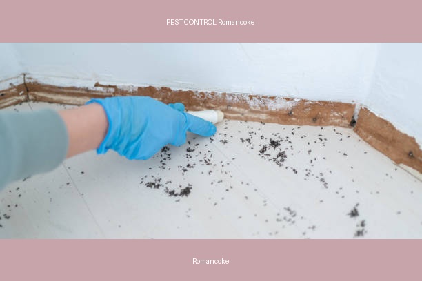 PEST CONTROL Romancoke